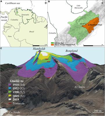 Vegetation Assembly, Adaptive Strategies and Positive Interactions During Primary Succession in the Forefield of the Last Venezuelan Glacier